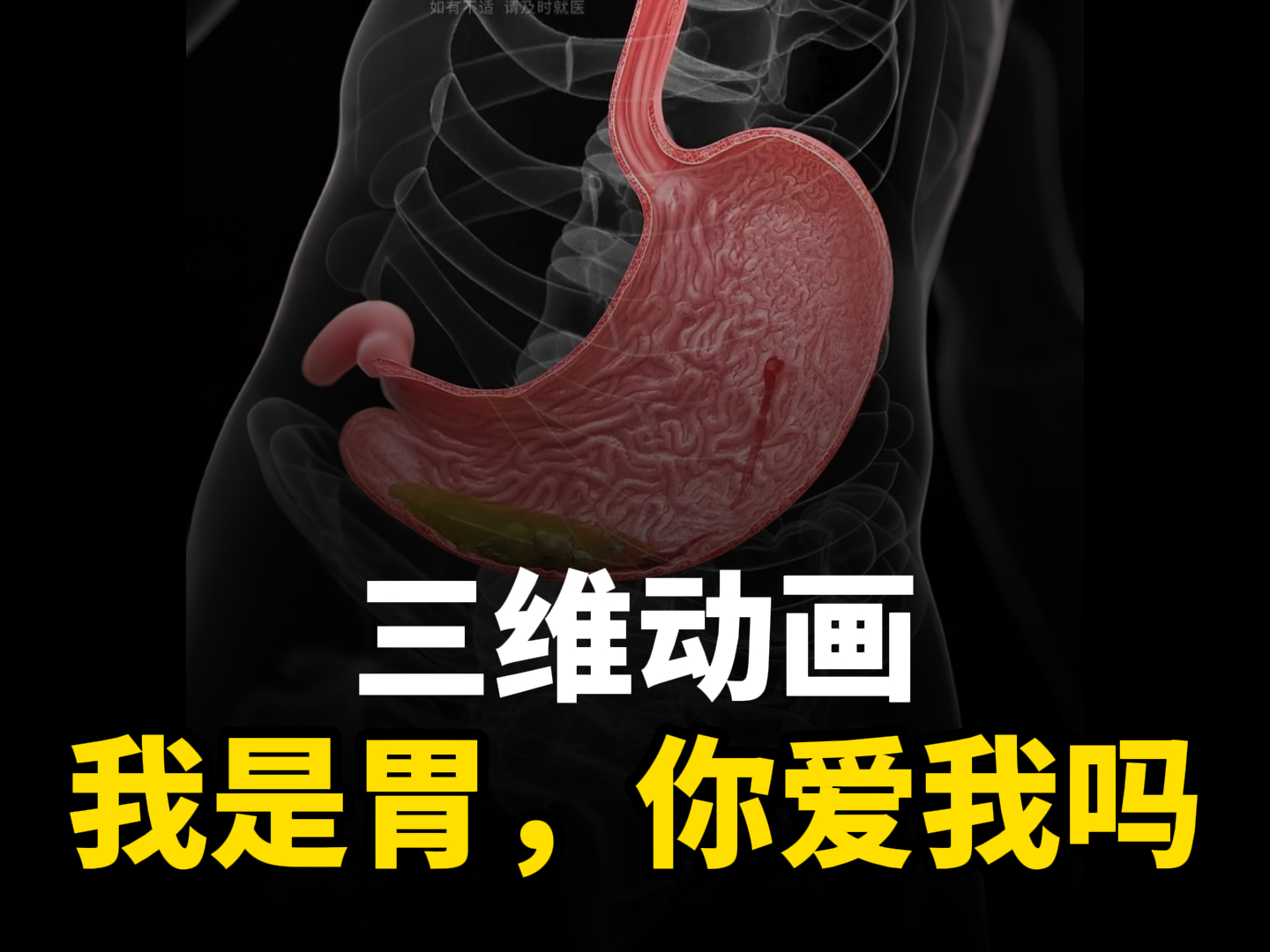 “您好，主人！”來自胃的告白！-人體三維動(dòng)畫定制-華匠科技三維動(dòng)畫